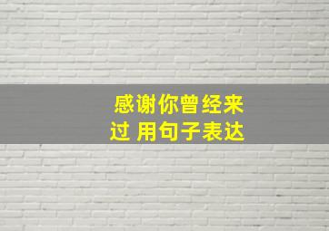 感谢你曾经来过 用句子表达